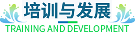 香港六台盒宝典资料大全